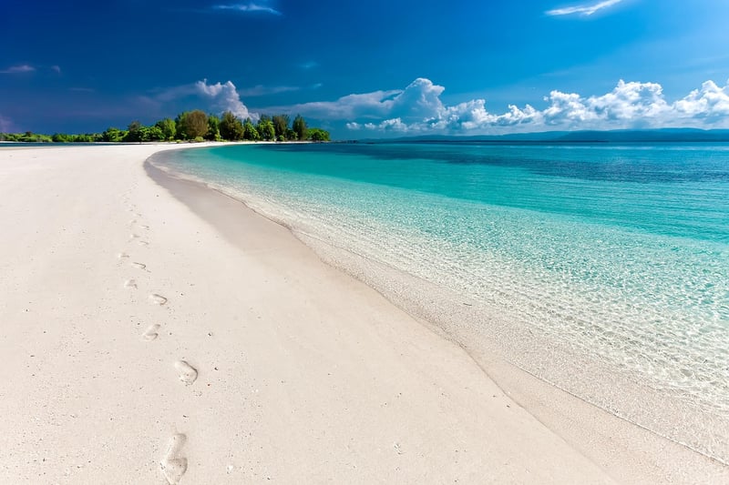 Beach Betrothals
