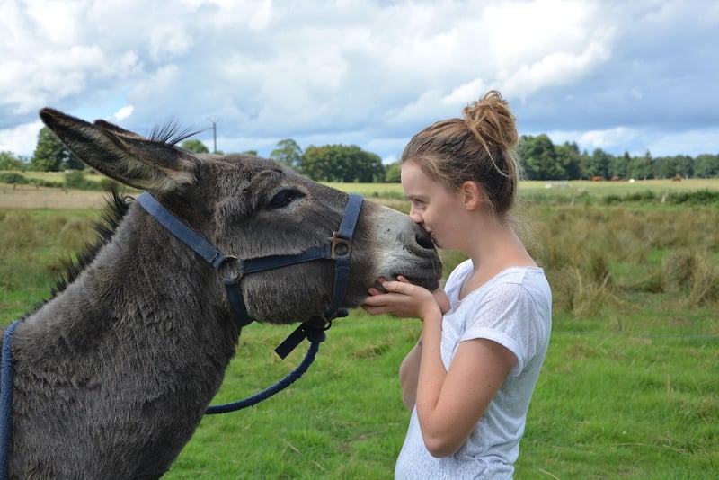 Wizardly Kisses